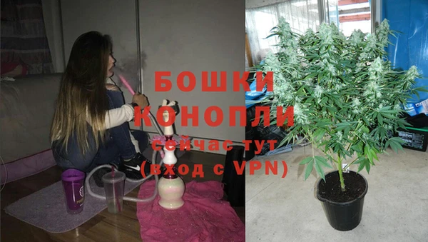 наркотики Белокуриха