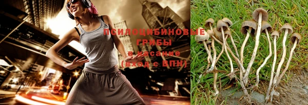 наркотики Белокуриха